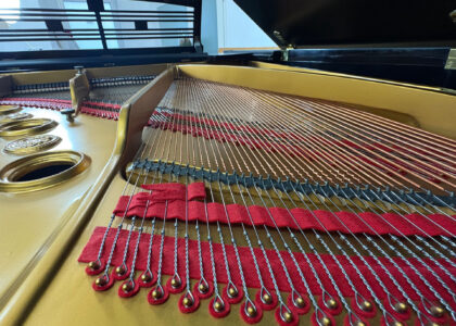 Feurich Flügel Modell 190 – Baujahr 1919 2